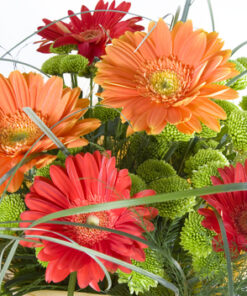 All Around The World JMK Florist