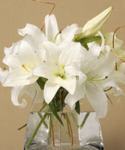 All White JMK Florist