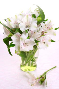 Beautiful-In-White-JMK-Florist