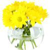 Being-Yellow-JMK-Florist
