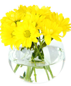Being Yellow JMK Florist