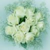 Purest-Love-JMK-Florist