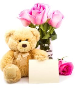 shutterstock 113102572