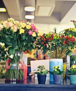 pexels andrea piacquadio 947914 e1668632195927