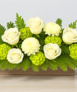 Natural Winter Beauty