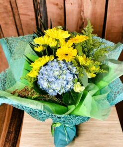 Hydrangea Live with passion