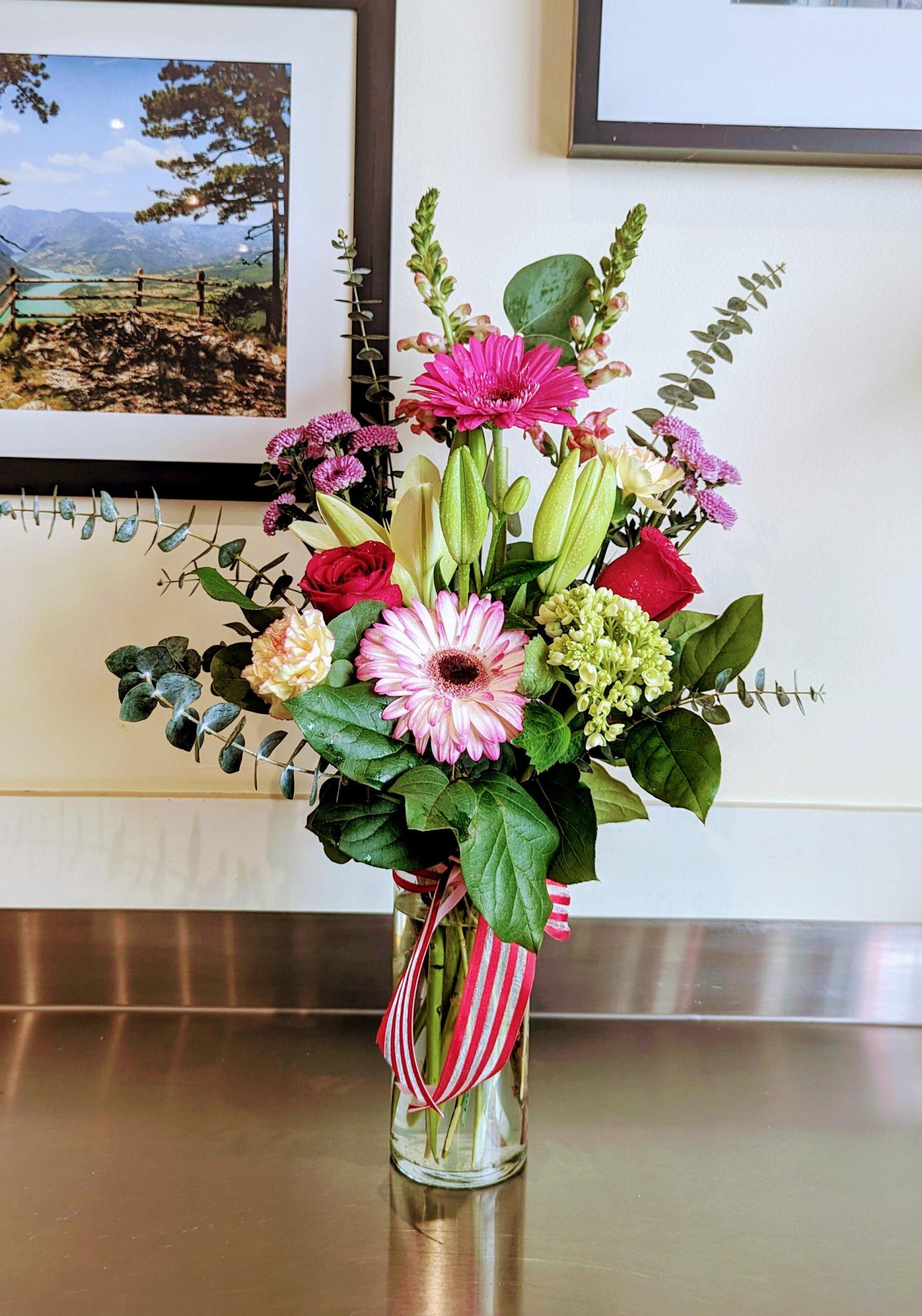 eucalyptus 1 scaled eucalyptus in Calgary