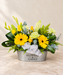 Yellow blooms in a silver garden planter 1.png